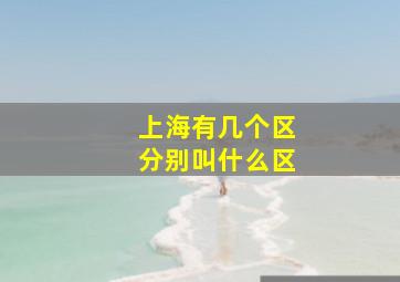 上海有几个区分别叫什么区