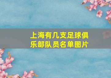 上海有几支足球俱乐部队员名单图片