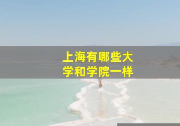 上海有哪些大学和学院一样