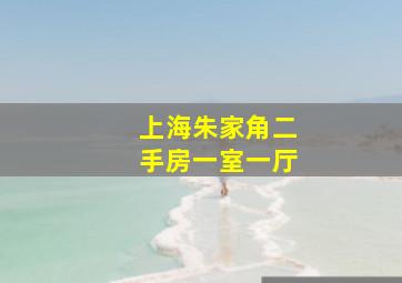 上海朱家角二手房一室一厅