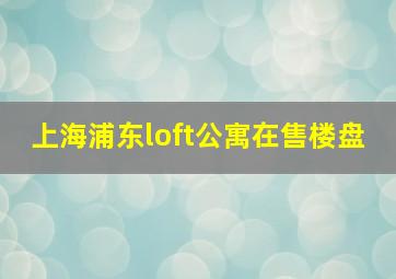 上海浦东loft公寓在售楼盘