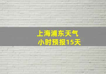 上海浦东天气小时预报15天