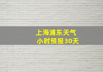 上海浦东天气小时预报30天