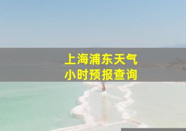 上海浦东天气小时预报查询