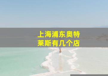 上海浦东奥特莱斯有几个店