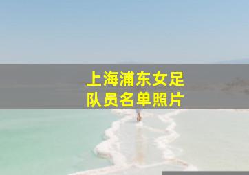 上海浦东女足队员名单照片