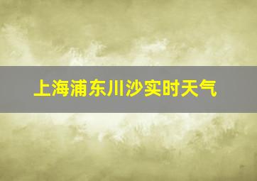 上海浦东川沙实时天气