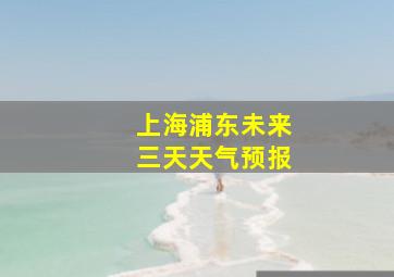 上海浦东未来三天天气预报