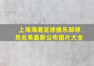 上海海港足球俱乐部球员名单最新公布图片大全