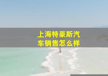 上海特豪斯汽车销售怎么样