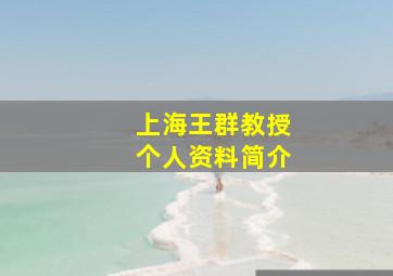 上海王群教授个人资料简介