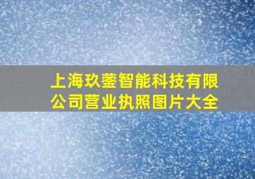 上海玖蓥智能科技有限公司营业执照图片大全