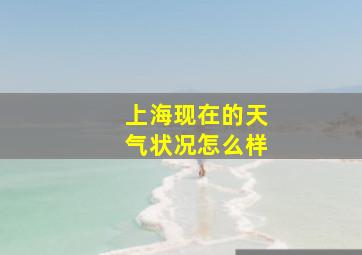 上海现在的天气状况怎么样