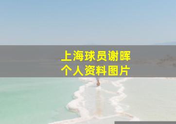 上海球员谢晖个人资料图片