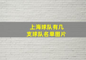 上海球队有几支球队名单图片