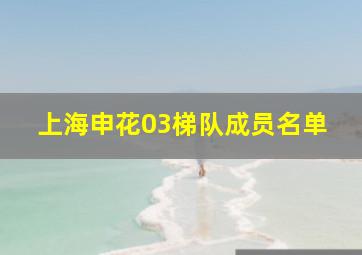 上海申花03梯队成员名单