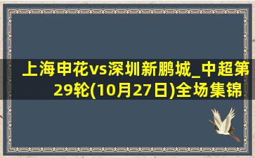 上海申花vs深圳新鹏城_中超第29轮(10月27日)全场集锦