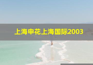 上海申花上海国际2003