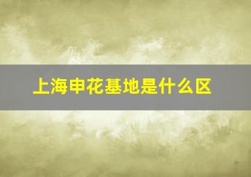 上海申花基地是什么区