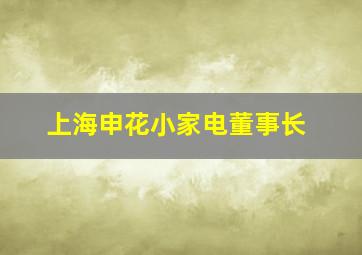 上海申花小家电董事长