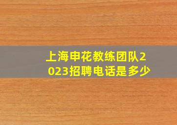 上海申花教练团队2023招聘电话是多少