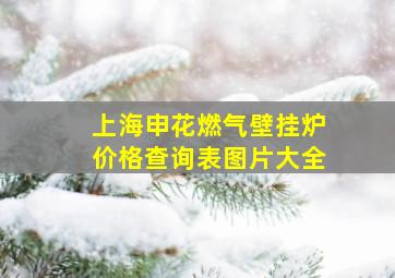 上海申花燃气壁挂炉价格查询表图片大全