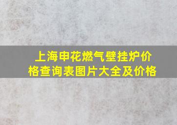 上海申花燃气壁挂炉价格查询表图片大全及价格