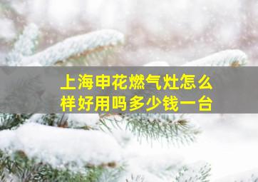 上海申花燃气灶怎么样好用吗多少钱一台