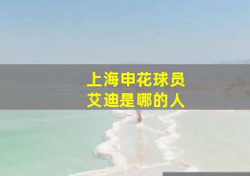 上海申花球员艾迪是哪的人