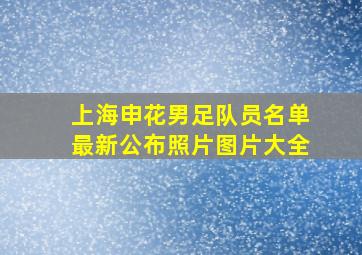 上海申花男足队员名单最新公布照片图片大全