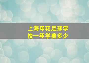 上海申花足球学校一年学费多少