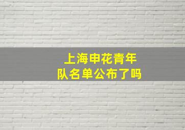 上海申花青年队名单公布了吗