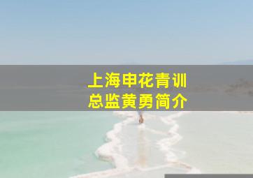 上海申花青训总监黄勇简介