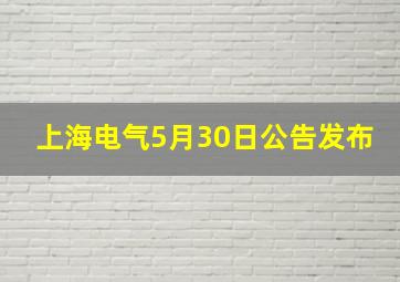 上海电气5月30日公告发布