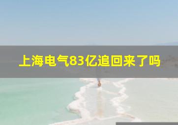 上海电气83亿追回来了吗