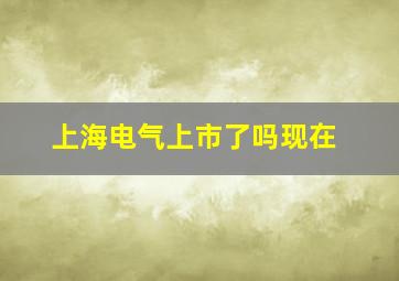 上海电气上市了吗现在