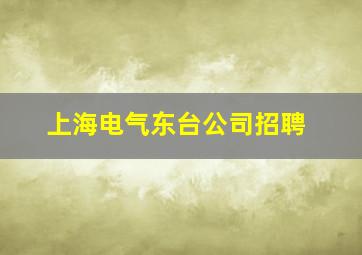 上海电气东台公司招聘