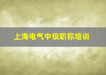 上海电气中级职称培训