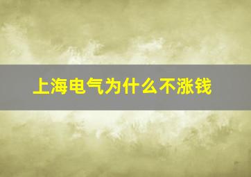 上海电气为什么不涨钱