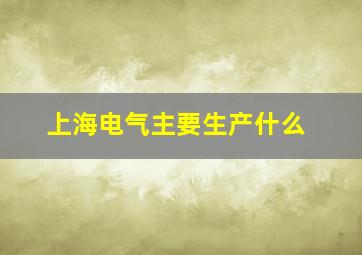 上海电气主要生产什么