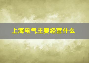 上海电气主要经营什么