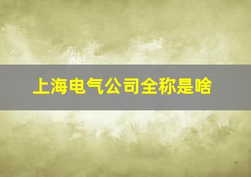 上海电气公司全称是啥