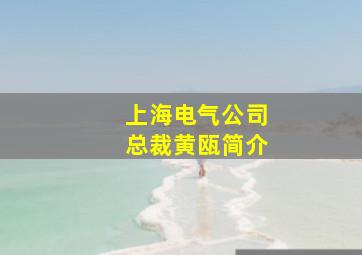 上海电气公司总裁黄瓯简介