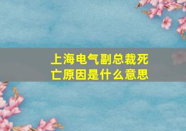 上海电气副总裁死亡原因是什么意思