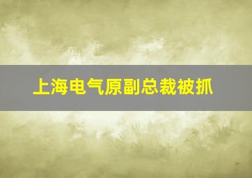 上海电气原副总裁被抓