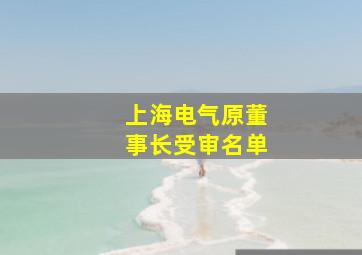 上海电气原董事长受审名单