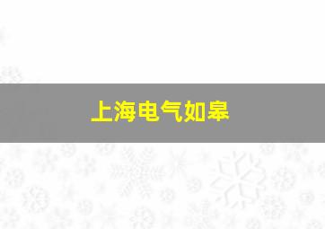 上海电气如皋