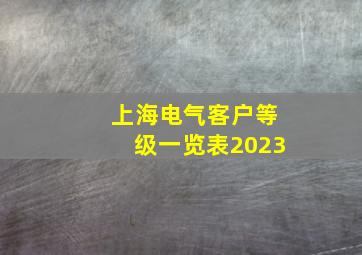 上海电气客户等级一览表2023