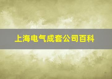 上海电气成套公司百科