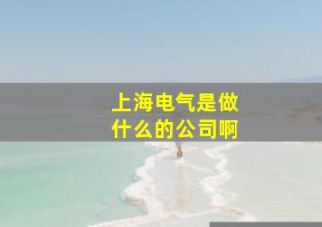 上海电气是做什么的公司啊